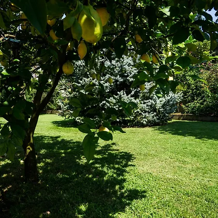 Lägenhet Livingapple Scauri (Lazio)
